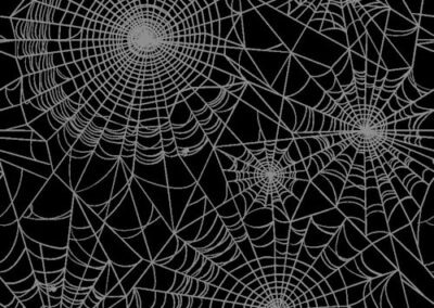 Spiders Be Gone: Proven Strategies to Keep Your Home Spider-Free